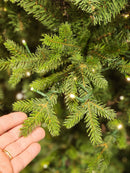 ÁRVORE REALISTA PINHEIRO AUSTRAL 2,10CM 450 LEDS WARM 801 GALHOS BIVOLT