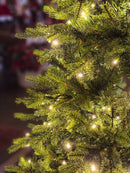 ÁRVORE REALISTA PINHEIRO AUSTRAL 2,10CM 450 LEDS WARM 801 GALHOS BIVOLT