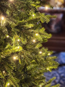 ÁRVORE REALISTA PINHEIRO AUSTRAL 2,10CM 450 LEDS WARM 801 GALHOS BIVOLT